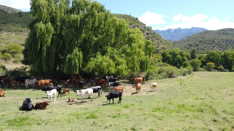 Commercial Property for Sale in Oudtshoorn Rural Western Cape